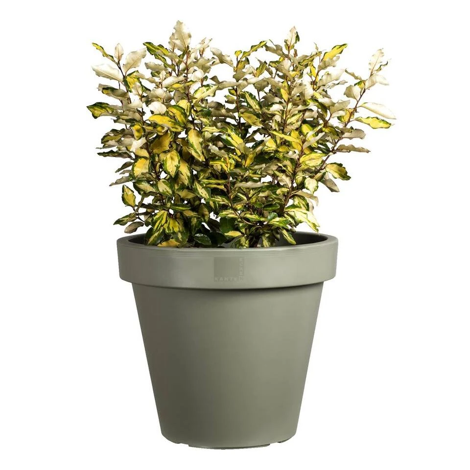 Bloempot Finn - Groen - 90% Gerecycled Kunststof - ø50 Cm 2 Bloempot Finn - Groen - 90% Gerecycled Kunststof - ø50 Cm - Afbeelding 2